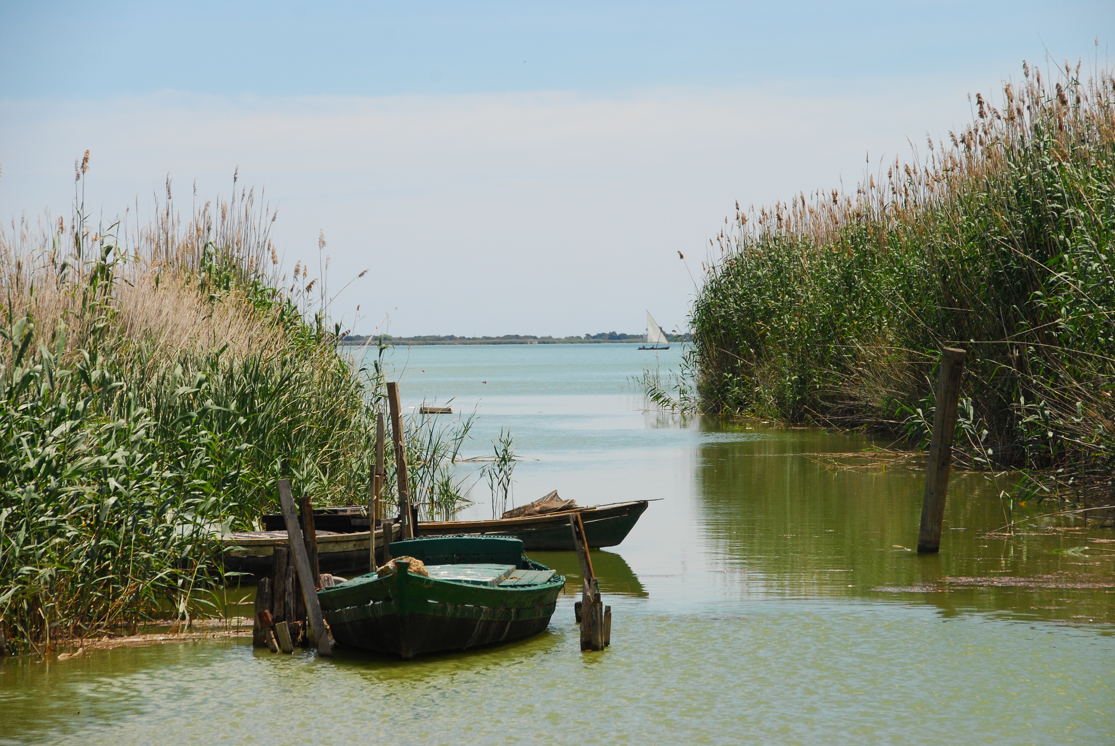 L’Albufera. Barcas tradicionales de pesca (albuferencs)